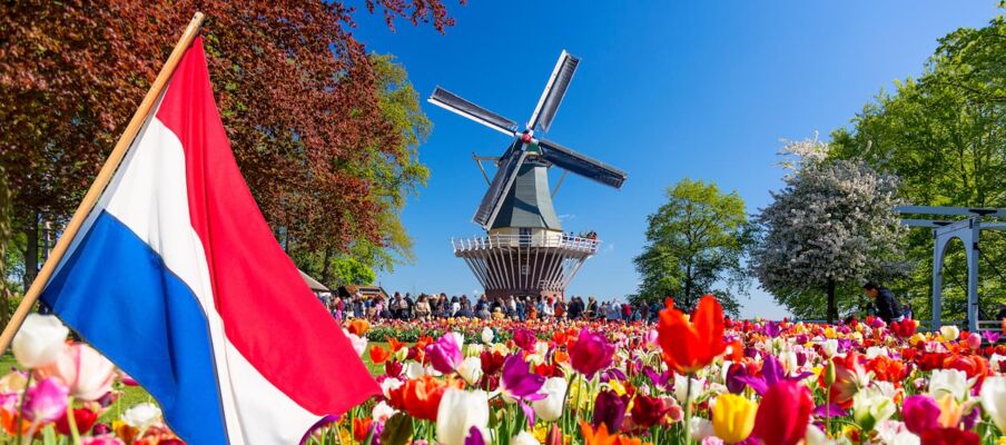 The flag of the Netherlands with flowers and a windmill in the background